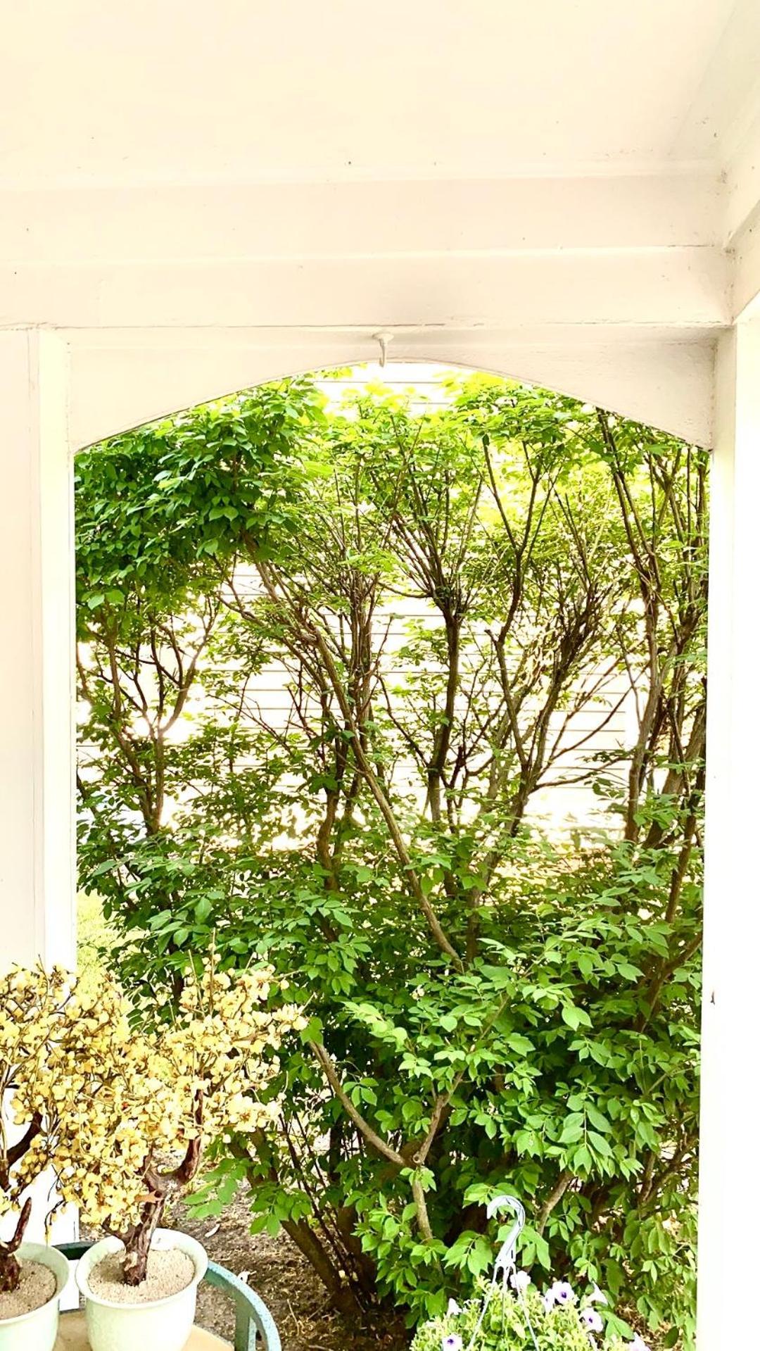 B3 A Private Room In Naperville Downtown With Desk And Wi-Fi Near Everything Buitenkant foto